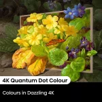 Hisense 65 inch S7N Canvas TV | 4K QLED VIDAA - Image 6