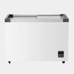 Hisense 301L Chest Freezer FC40DD
